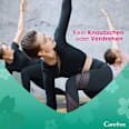 Slipeinlagen Flexicomfort Normal Carefree