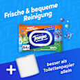 Feuchtes Toilettenpapier Family Maxi Pack Tempo
