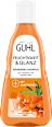 Shampoo Feuchtigkeitsaufbau GUHL