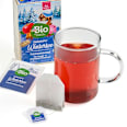 bio ovocný zimní čaj 20x2g dmBio