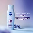 Shampoo Blonde Silver NIVEA
