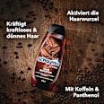 Shampoo XTRA Hair Booster schauma