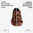 Shampoo Molecular Repair  Pomélo + Co.