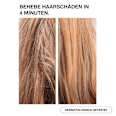 Shampoo Molecular Repair  Pomélo + Co.