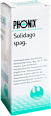 PHÖNIX Solidago spag. Mischung PHÖNIX