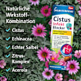 Cistus Infekt Blocker Klosterfrau