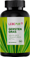 Gerstengras Lebepur