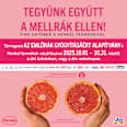 Tartós hajfesték, ezüstös pír 9-53 Syoss