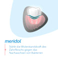 Zahnpasta Zahnfleischschutz Sanftes Weiss meridol