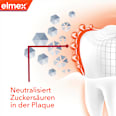Zahnpasta Kariesschutz Professional + Zahnspange elmex
