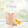 Duftkerze Citrus AIR WICK