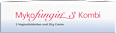 Mykofungin 3 Kombi 200 mg Vaginaltabletten und 10 mg/g Creme, Wirkstoff: Clotrimazol Mykofungin