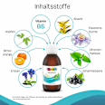 Nervenheld Vitamin B6 PEDIAKID