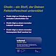 Orthomol Cholin Plus Kapseln 60 St orthomol