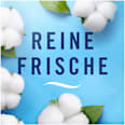 Textilerfrischer Winterfrische  Febreze