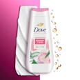Duschcreme Advanced Care summer care mit Rosen- & Aloe Vera Duft Dove