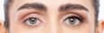 Künstliche Wimpern Salon Lash N°2 Half Lash (1 Paar) Eylure