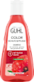 Shampoo Color Schutz & Pflege GUHL