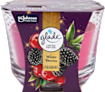 Vonná sviečka v skle Winter Berries  glade