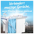 Weichspüler Luftfrisch Alpensee 76 WL Lenor