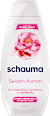 Shampoo Seiden-Kamm schauma