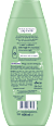 Shampoo 7 Kräuter schauma