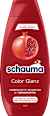 Shampoo Color Glanz schauma