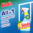 Glasreiniger Zitrus  Sidolin