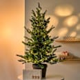 LED Tannenbaum im Topf, warmweiß (90 cm) Dekorieren & Einrichten