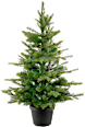 LED Tannenbaum im Topf, Micro, Indoor & Outdoor Dekorieren & Einrichten