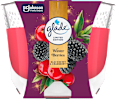 Dišeča sveča v kozarcu Winter Berries glade