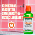 Friss Lehelet szájvíz, alkoholmentes, Enyhén Mentolos íz The Breath Co