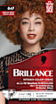 Intensive-Color-Creme - Nr. 847 Caramel Braun Schwarzkopf Brillance