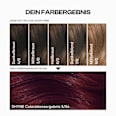 Haarfarbe 5/54 Lisbon Dunkelrot Mahagoni SHYNE Professional