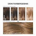 Haarfarbe 8/0 Amsterdam Mittelblond Natur SHYNE Professional