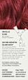 Haarfarbe 6/66 Seville Mittelrot Violett Intensiv SHYNE Professional