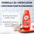 Šampon za kosu Stronger for Longer Hair  – hibiskus i ružmarin schauma
