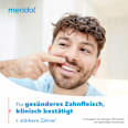 Mundspülung Zahnfleischschutz antibakteriell meridol