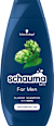 Šampon za kosu For Men schauma