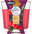 Mirisna svijeća Winter Berries – mala glade