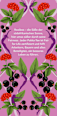 Kräutertee Morning Berry (20x1,7g) pukka