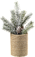 Tannenbaum im Jutetopf mit Zapfen Dekorieren & Einrichten