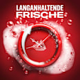Duschgel Nightpanther Old Spice