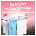 Weichspüler Luftfrisch Wildblumenfeld Lenor