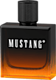 AMBER SIGNATURE EdT-  muški  MUSTANG