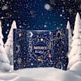 Adventskalender Christmas Beauty Moments  ARTDECO