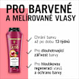 šampon na vlasy Repair & Protect Color Perfector Schwarzkopf GLISS