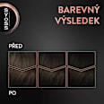 barva na vlasy Středně hnědý 4-1 syoss
