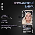 barva na vlasy Perleťově platinový 12-53 syoss