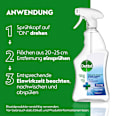 Hygienereiniger Desinfektion Dettol